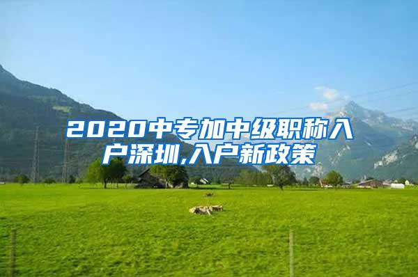 2020中专加中级职称入户深圳,入户新政策