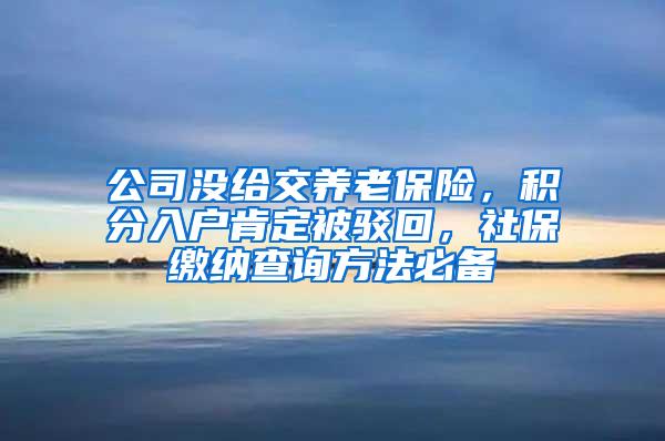 公司没给交养老保险，积分入户肯定被驳回，社保缴纳查询方法必备