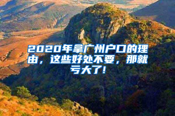 2020年拿广州户口的理由，这些好处不要，那就亏大了!