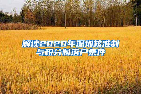 解读2020年深圳核准制与积分制落户条件