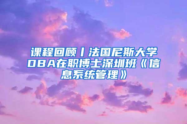 课程回顾丨法国尼斯大学DBA在职博士深圳班《信息系统管理》