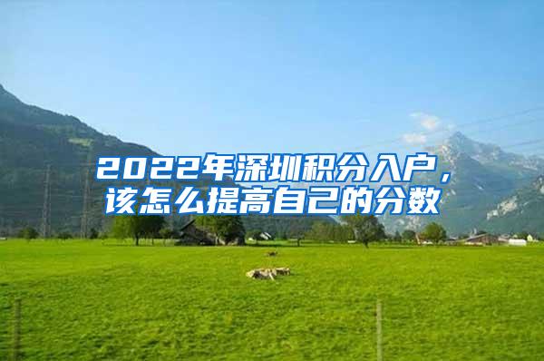 2022年深圳积分入户，该怎么提高自己的分数