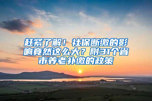 赶紧了解！社保断缴的影响竟然这么大？附31个省市养老补缴的政策