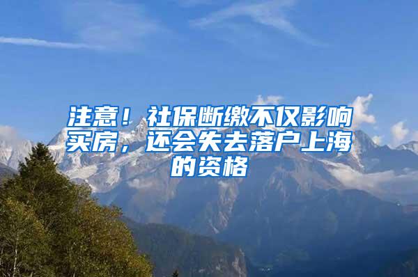 注意！社保断缴不仅影响买房，还会失去落户上海的资格