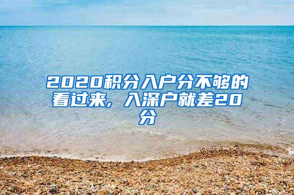 2020积分入户分不够的看过来, 入深户就差20分