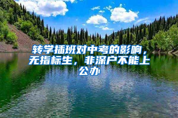 转学插班对中考的影响，无指标生，非深户不能上公办