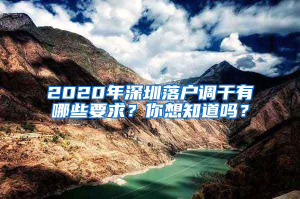 2020年深圳落户调干有哪些要求？你想知道吗？