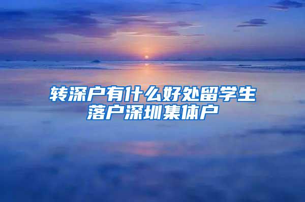 转深户有什么好处留学生落户深圳集体户