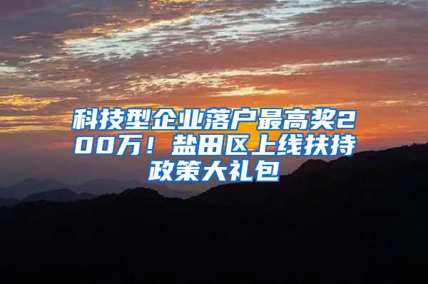 科技型企业落户最高奖200万！盐田区上线扶持政策大礼包