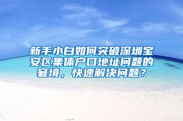 新手小白如何突破深圳宝安区集体户口地址问题的窘境，快速解决问题？