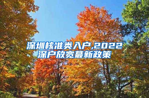 深圳核准类入户,2022深户放宽蕞新政策