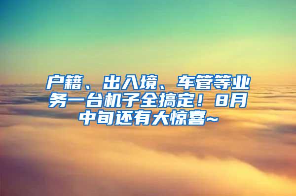 户籍、出入境、车管等业务一台机子全搞定！8月中旬还有大惊喜~