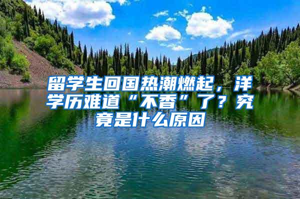 留学生回国热潮燃起，洋学历难道“不香”了？究竟是什么原因