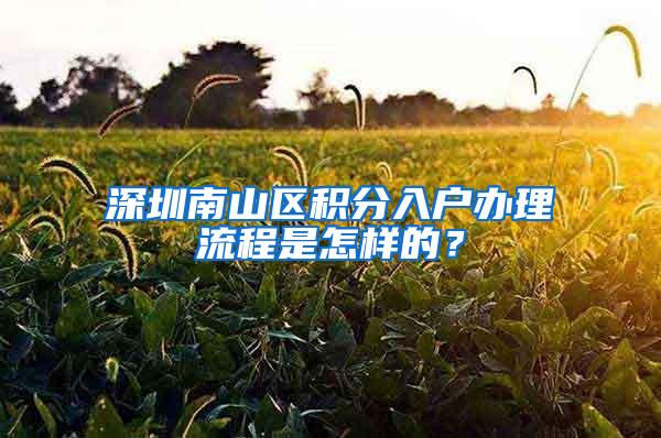 深圳南山区积分入户办理流程是怎样的？