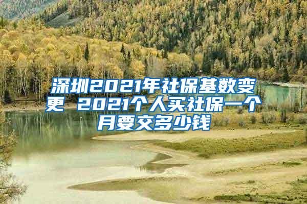 深圳2021年社保基数变更 2021个人买社保一个月要交多少钱