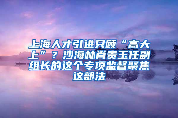 上海人才引进只顾“高大上”？沙海林肖贵玉任副组长的这个专项监督聚焦这部法