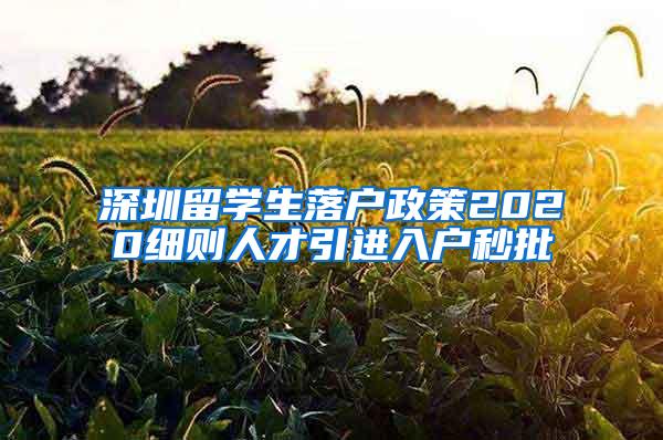 深圳留学生落户政策2020细则人才引进入户秒批