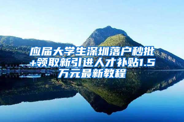 应届大学生深圳落户秒批+领取新引进人才补贴1.5万元最新教程