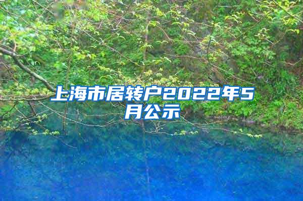 上海市居转户2022年5月公示