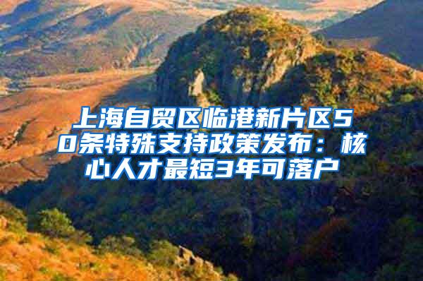 上海自贸区临港新片区50条特殊支持政策发布：核心人才最短3年可落户