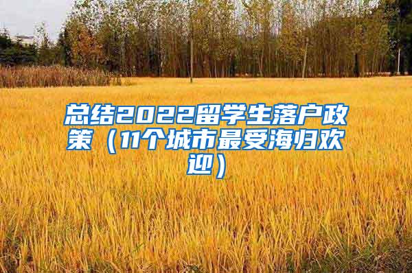 总结2022留学生落户政策（11个城市最受海归欢迎）