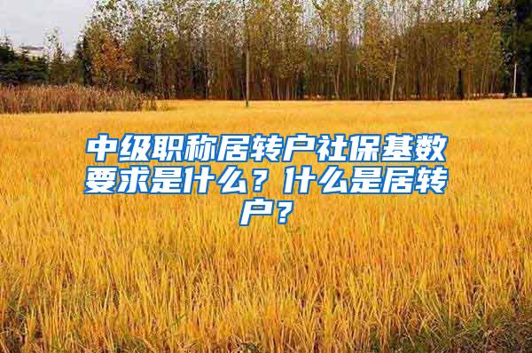 中级职称居转户社保基数要求是什么？什么是居转户？