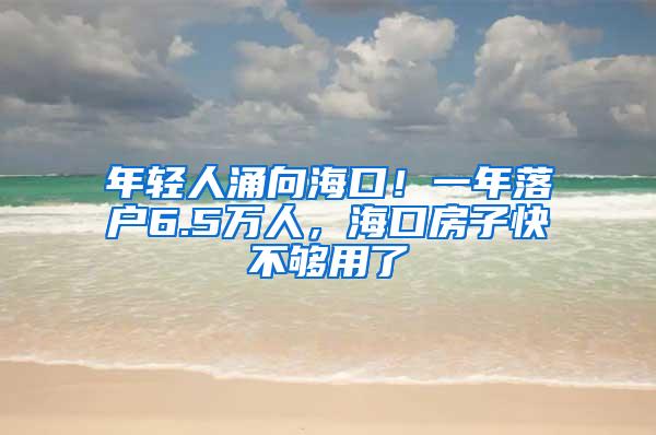 年轻人涌向海口！一年落户6.5万人，海口房子快不够用了