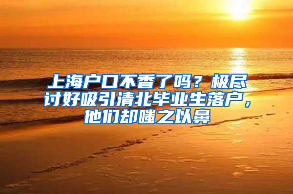 上海户口不香了吗？极尽讨好吸引清北毕业生落户，他们却嗤之以鼻