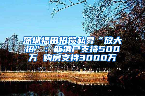 深圳福田招揽私募“放大招”：新落户支持500万 购房支持3000万