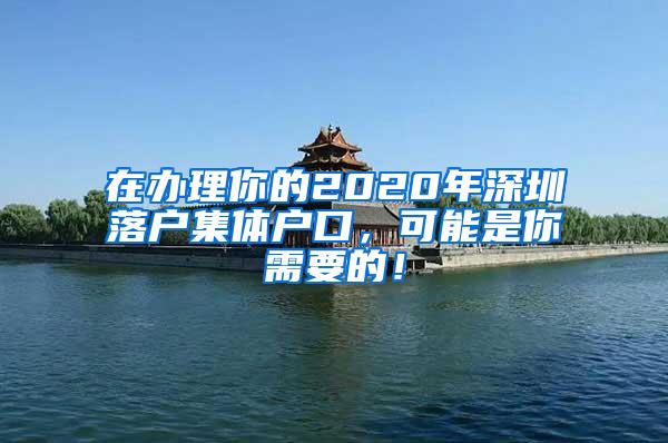 在办理你的2020年深圳落户集体户口，可能是你需要的！