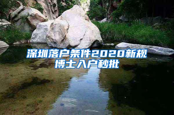 深圳落户条件2020新规博士入户秒批