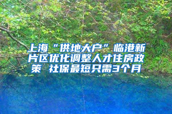 上海“供地大户”临港新片区优化调整人才住房政策 社保最短只需3个月