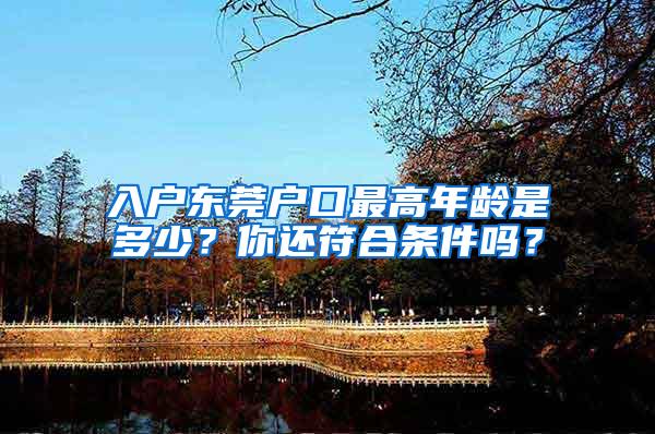 入户东莞户口最高年龄是多少？你还符合条件吗？