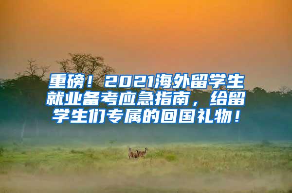 重磅！2021海外留学生就业备考应急指南，给留学生们专属的回国礼物！