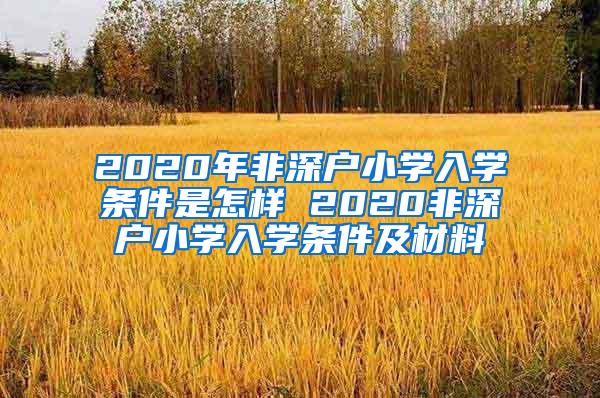 2020年非深户小学入学条件是怎样 2020非深户小学入学条件及材料