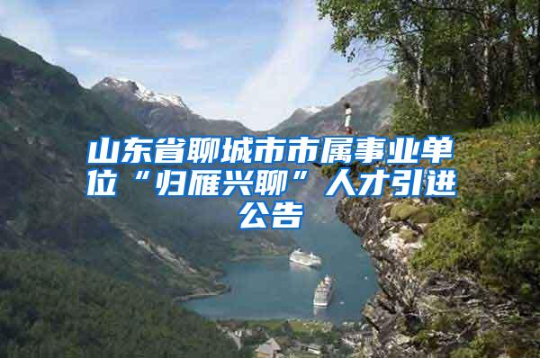 山东省聊城市市属事业单位“归雁兴聊”人才引进公告