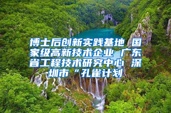 博士后创新实践基地 国家级高新技术企业 广东省工程技术研究中心 深圳市“孔雀计划