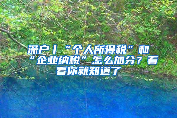 深户丨“个人所得税”和“企业纳税”怎么加分？看看你就知道了