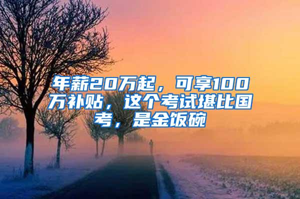 年薪20万起，可享100万补贴，这个考试堪比国考，是金饭碗