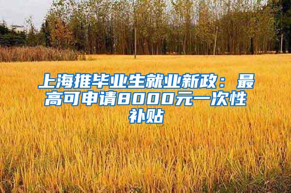 上海推毕业生就业新政：最高可申请8000元一次性补贴