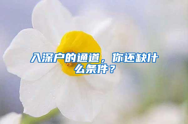 入深户的通道，你还缺什么条件？