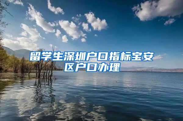 留学生深圳户口指标宝安区户口办理