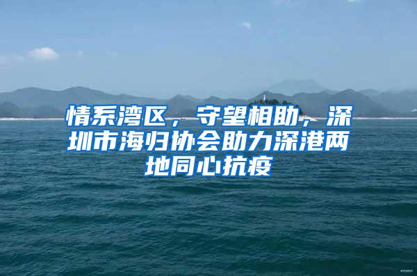 情系湾区，守望相助，深圳市海归协会助力深港两地同心抗疫
