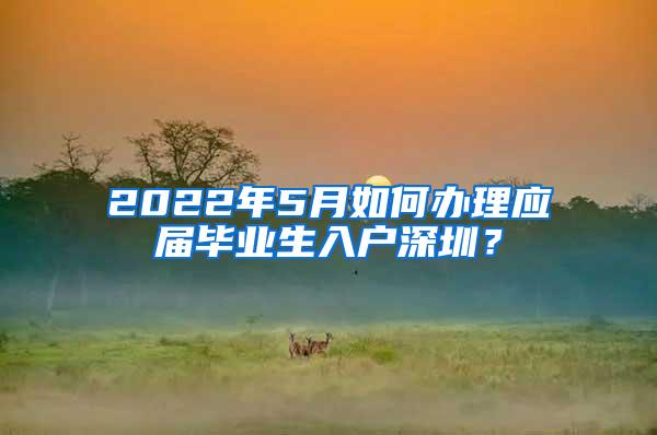 2022年5月如何办理应届毕业生入户深圳？