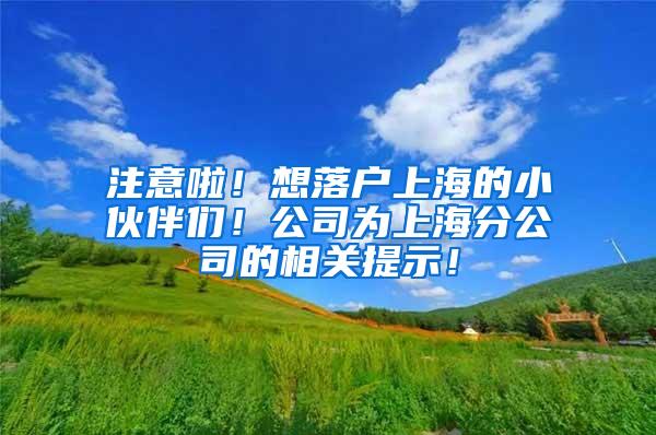 注意啦！想落户上海的小伙伴们！公司为上海分公司的相关提示！