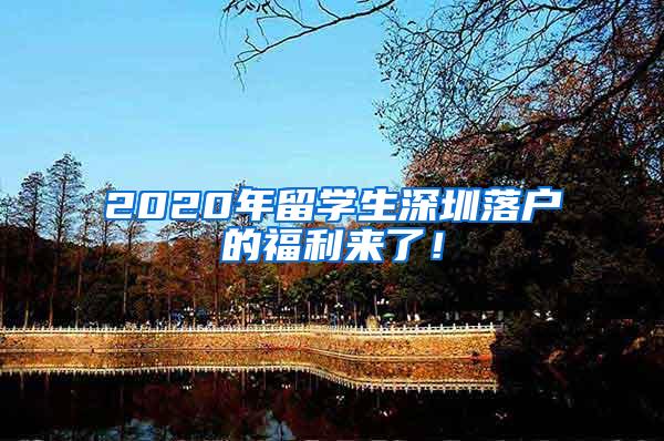 2020年留学生深圳落户的福利来了！