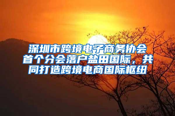 深圳市跨境电子商务协会首个分会落户盐田国际，共同打造跨境电商国际枢纽