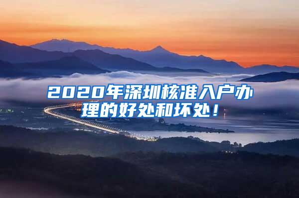 2020年深圳核准入户办理的好处和坏处！