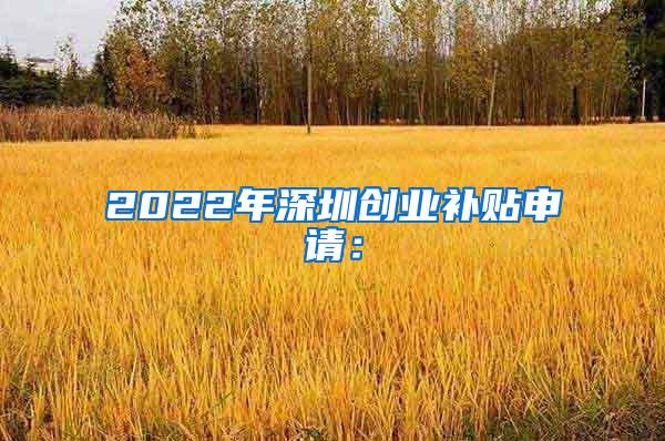 2022年深圳创业补贴申请：