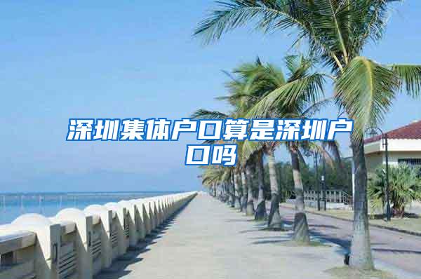 深圳集体户口算是深圳户口吗